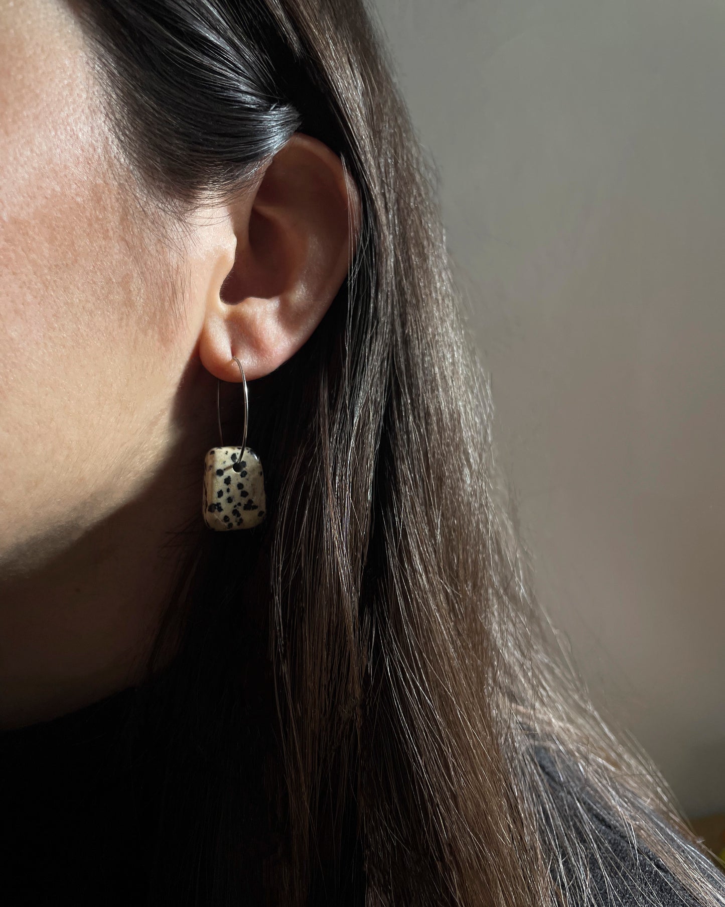Dalmatin Hoops