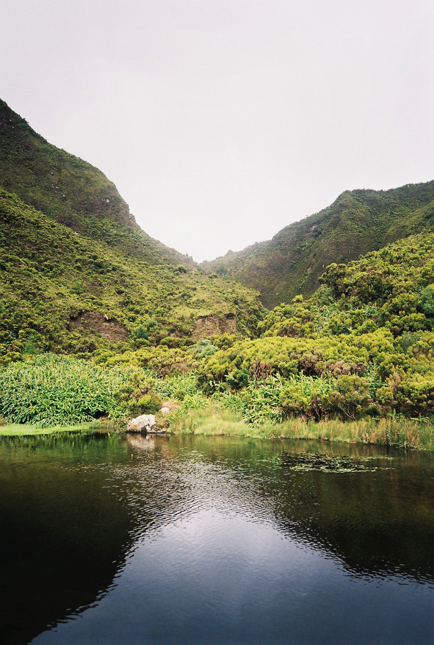 Lake – Hand-embroidered Pillowcase (more colors)